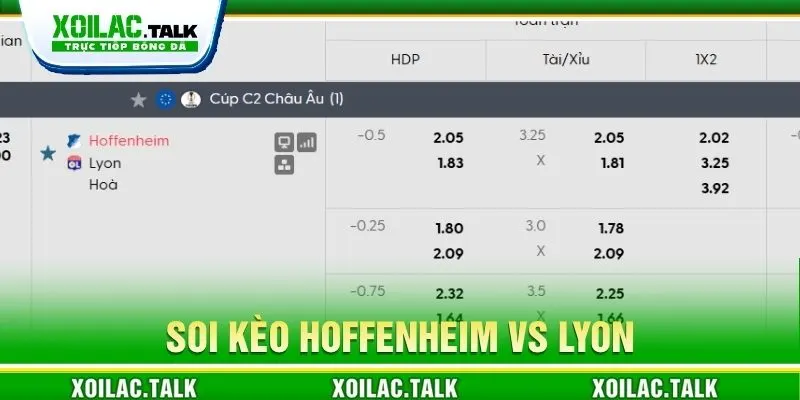 Soi kèo Hoffenheim vs Lyon 02:00 ngày 23/10 chi tiết
